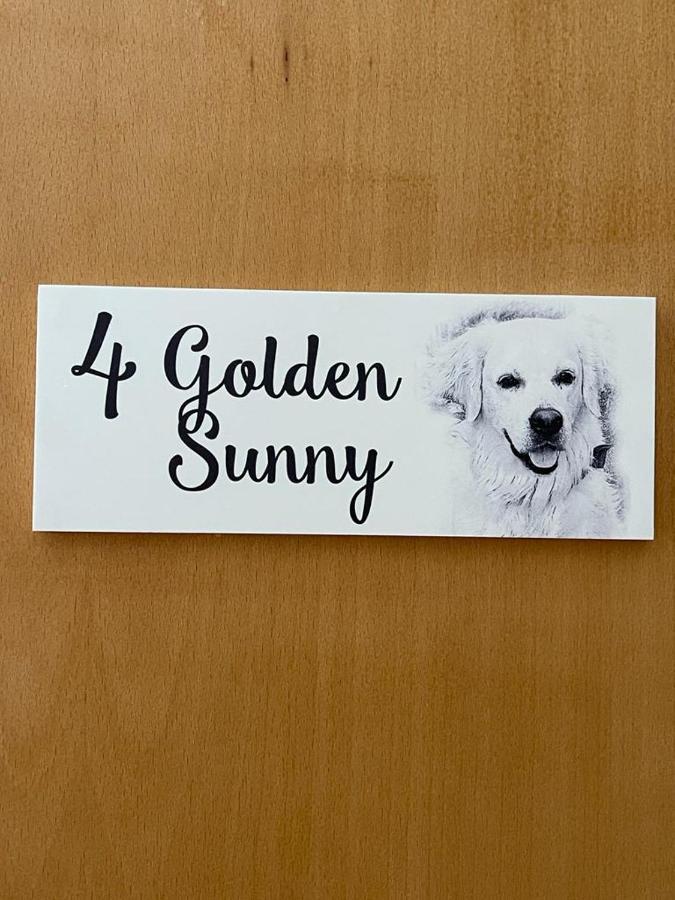 Hostel Sunny, The House - Al Dystrykt Dystrykt Faro Pokój zdjęcie